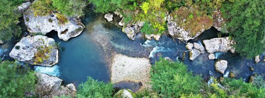 МЕЂУНАРДОНИ ДАН РИЈЕКА