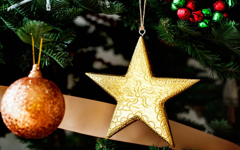 НОВОГОДИШЊА ПРИРЕДБА, ПО СЈЕНИНА