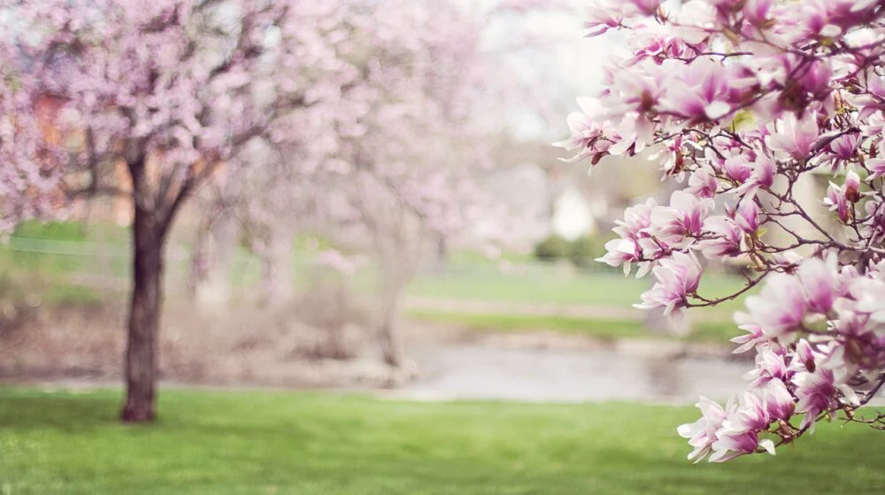 Стигло нам је прољеће!!!