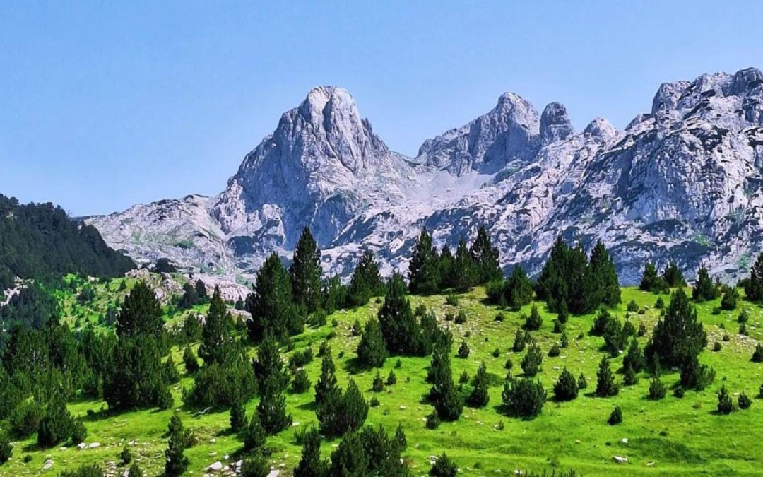 Дан планина